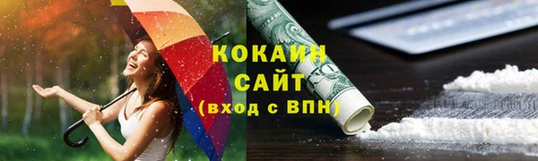 мдпв Заводоуковск