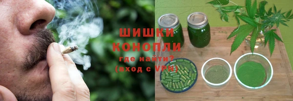 мдпв Заводоуковск