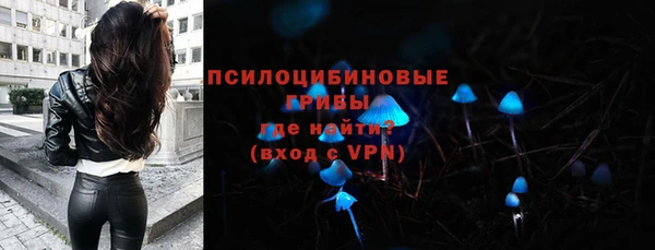мдпв Заводоуковск