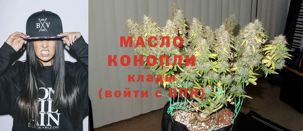 мдпв Заводоуковск