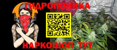 СК Краснознаменск