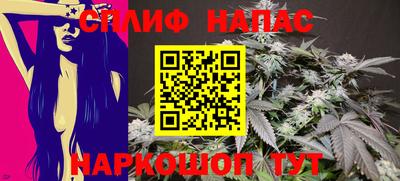 СК Краснознаменск