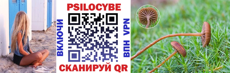 мориарти наркотические препараты  Саянск  Галлюциногенные грибы Magic Shrooms 